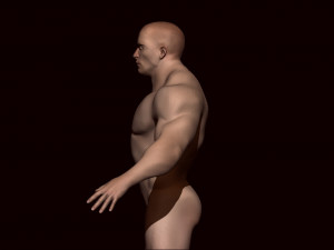 Base mesh male Modèle 3D