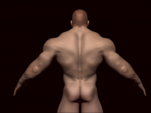 Base mesh male Modèle 3D