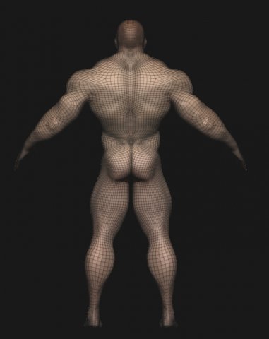 Base Mesh Male Body | 3D model