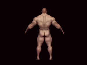 Base mesh bodybuilder 3D Model