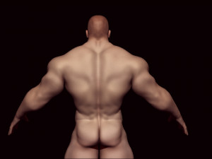 Base mesh bodybuilder 3D Model