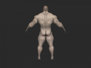 Base mesh bodybuilder 3D Model