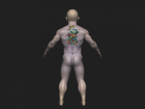 Boy bodybuilder 3Dモデル
