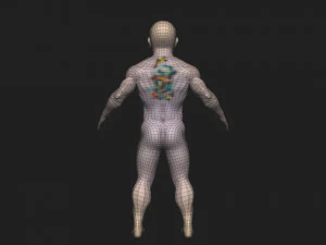 Boy bodybuilder 3D Model