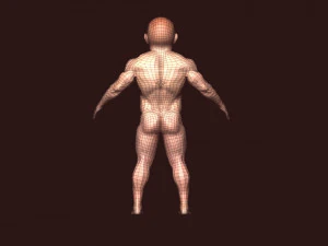 Boy bodybuilder 3D Model