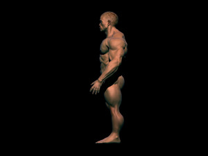 Chinese bodybuilder Modelo 3D