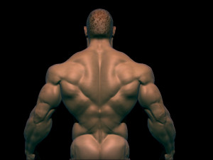 Chinese bodybuilder Modelo 3D