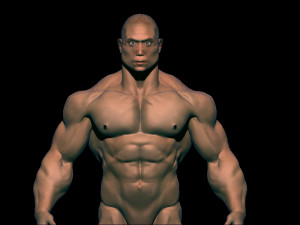 Chinese bodybuilder Modelo 3D