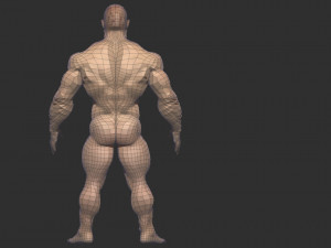 Chinese bodybuilder Modelo 3D