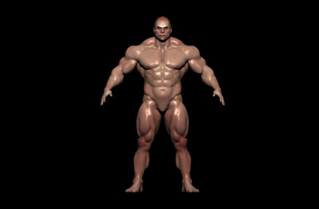 Bodybuilder base mesh 3D Model .c4d .max .obj .3ds .fbx .stl .blend 
