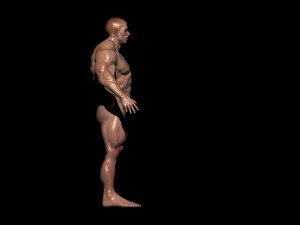 Bodybuilder base mesh 3D Model