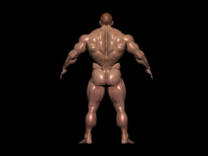 Bodybuilder base mesh 3D Model