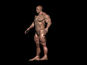 Bodybuilder base mesh 3D Model