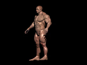 Bodybuilder base mesh 3D Model