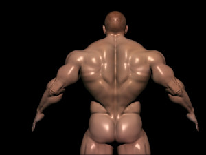 Bodybuilder base mesh 3D Model