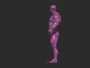 Bodybuilder base mesh 3D Model