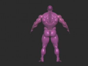 Bodybuilder base mesh 3D Model