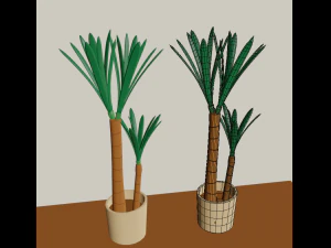 cartoon flowers in pots 3D Model