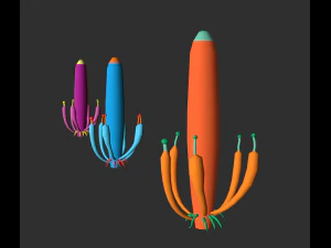 lowpoly alien plants pack 3D Model