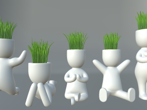 plants in decorative pots 3Dモデル