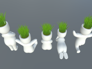 plants in decorative pots 3D 모델
