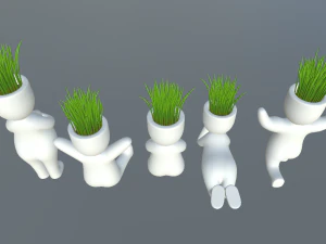 plants in decorative pots 3D Model