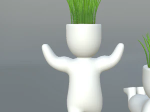 plants in decorative pots 3D Model