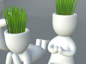 plants in decorative pots 3D Model
