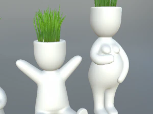 plants in decorative pots 3D Model