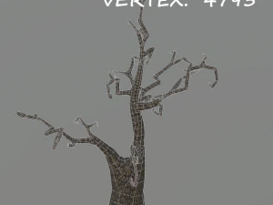 pacchetto di alberi spettrali Modello 3D