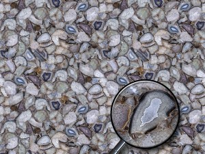 agate v1 CG Textures