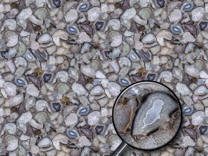 agate v1 CG Textures