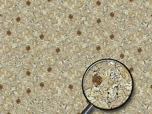 gemstone v2 CG Textures