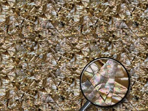 mother of pearl Texturas CG