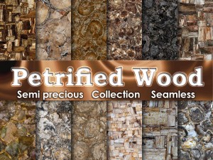 petrified wood CG Textures