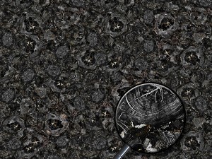 petrified wood CG 纹理
