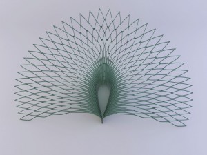 peacock l Modelo 3D