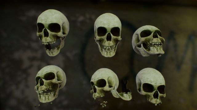 skull cranium game 3Dモデル .c4d .max .obj .3ds .fbx .stl .blend 