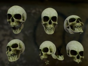 skull cranium game Modèle 3D