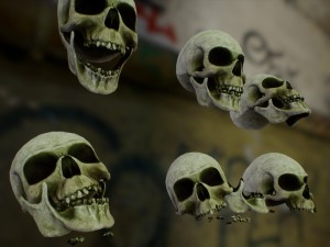 skull cranium game 3Dモデル