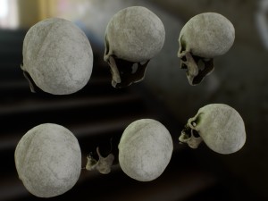 skull cranium game 3Dモデル
