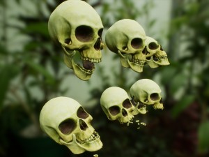 skull cranium game 3Dモデル