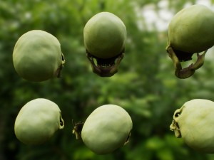 skull cranium game 3Dモデル