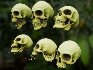 skull cranium game 3Dモデル