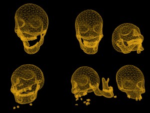skull cranium game 3Dモデル