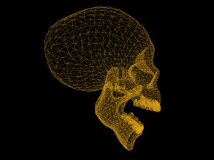 skull cranium game 3Dモデル