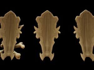 bone shield kit Modèle 3D