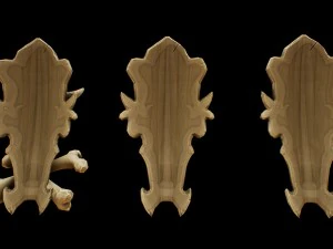 bone shield kit 3D Model