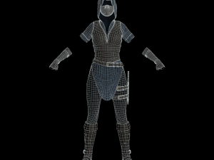 the rogue - fantasy style armor Modèle 3D