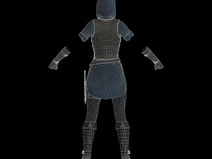 the rogue - fantasy style armor Modèle 3D